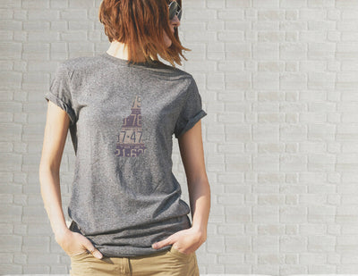 New Hampshire T-Shirt | Unisex Shirt