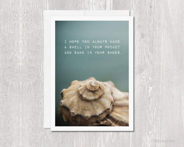 Greeting Card - Seashell