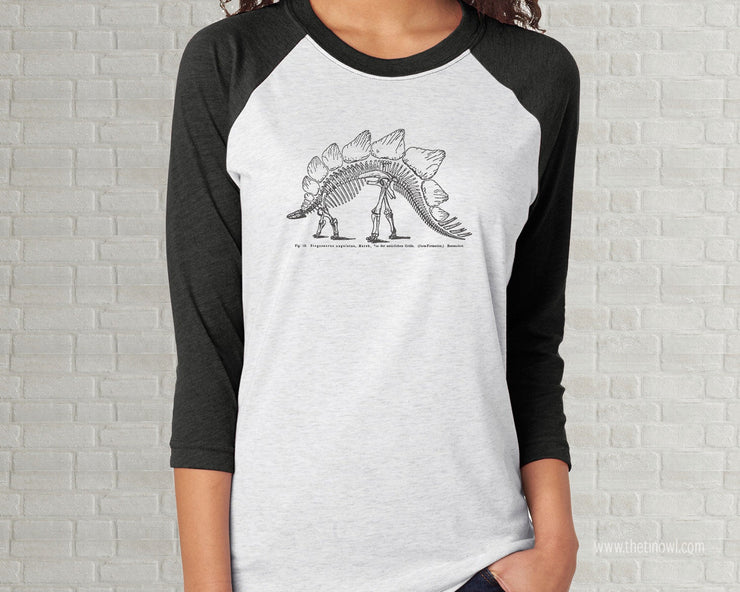 Adult Raglan T-Shirt - Stegosaurus Skeleton!