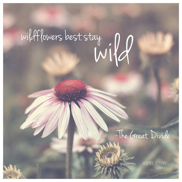 Inspirational Art | Wildflowers Best Stay Wild Quote