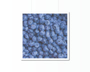 Blueberries Print | Kitchen Art Photography