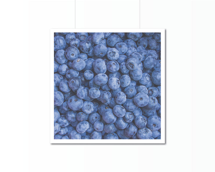 Blueberries Print | Kitchen Art Photography