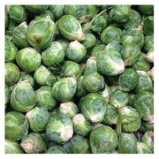 Brussels Sprouts Print | Kitchen Art Photography